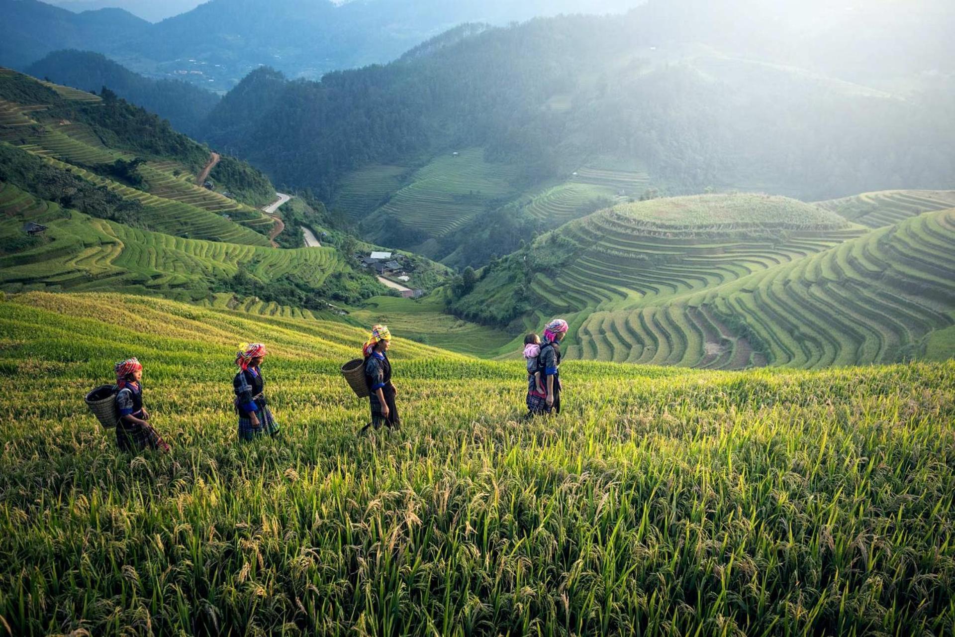 Arya Treetops And Tea Trails By Veo - Part Of Stayvista ดาร์จีลิง ภายนอก รูปภาพ